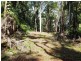 241 White Beech Road, Daintree QLD 4873