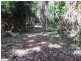 241 White Beech Road, Daintree QLD 4873