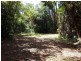 241 White Beech Road, Daintree QLD 4873