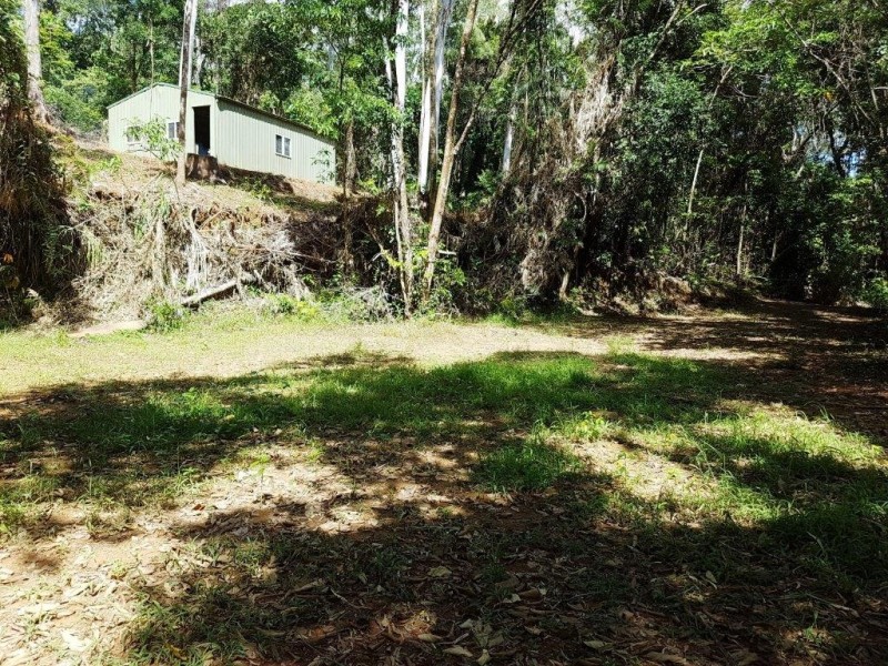 241 White Beech Road, Daintree QLD 4873