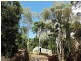 241 White Beech Road, Daintree QLD 4873