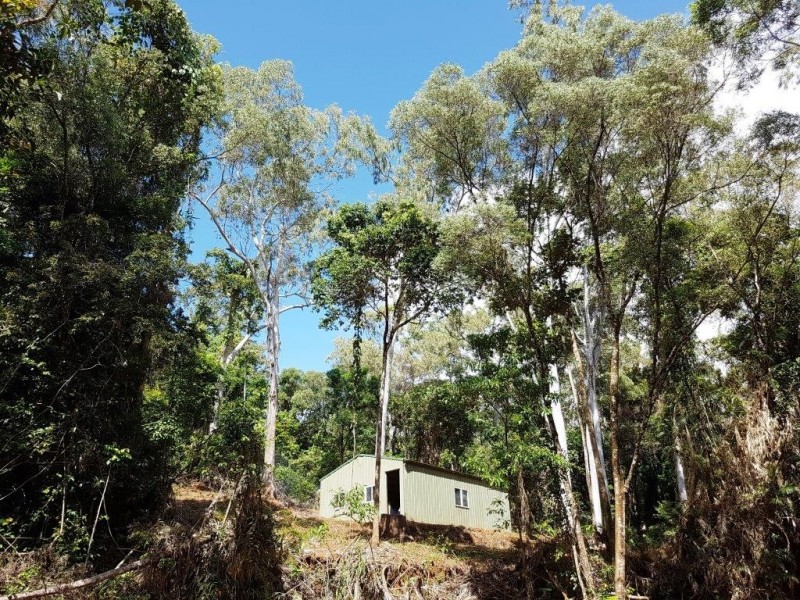 241 White Beech Road, Daintree QLD 4873