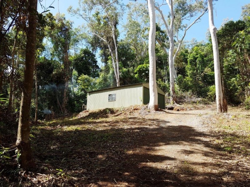 241 White Beech Road, Daintree QLD 4873