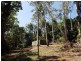 241 White Beech Road, Daintree QLD 4873