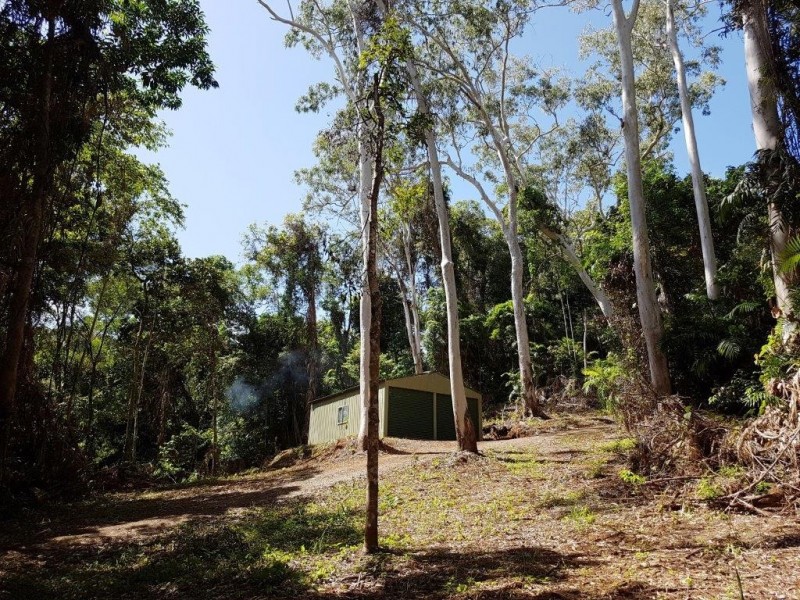 241 White Beech Road, Daintree QLD 4873