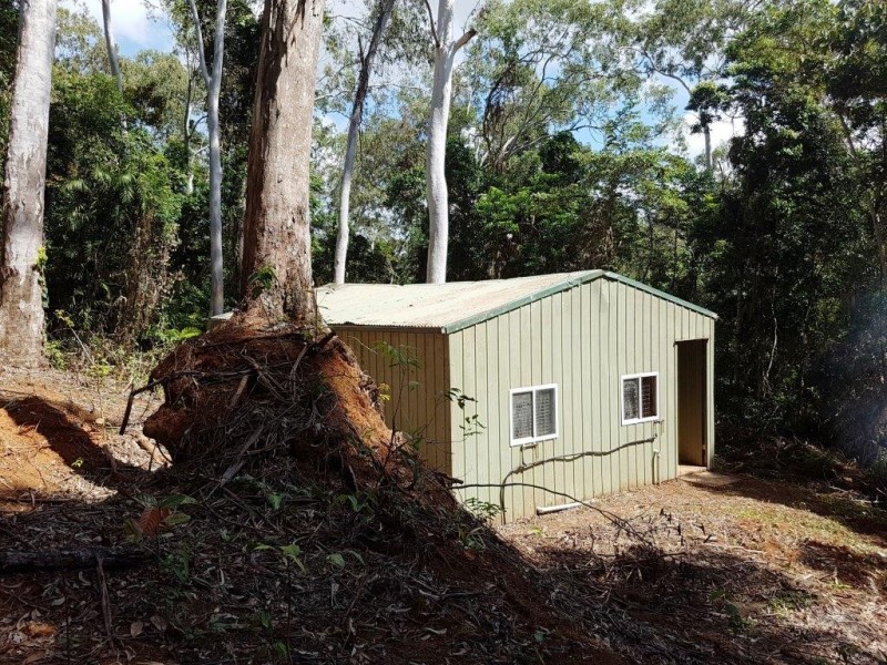 241 White Beech Road, Daintree QLD 4873