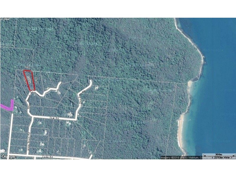 241 White Beech Road, Daintree QLD 4873