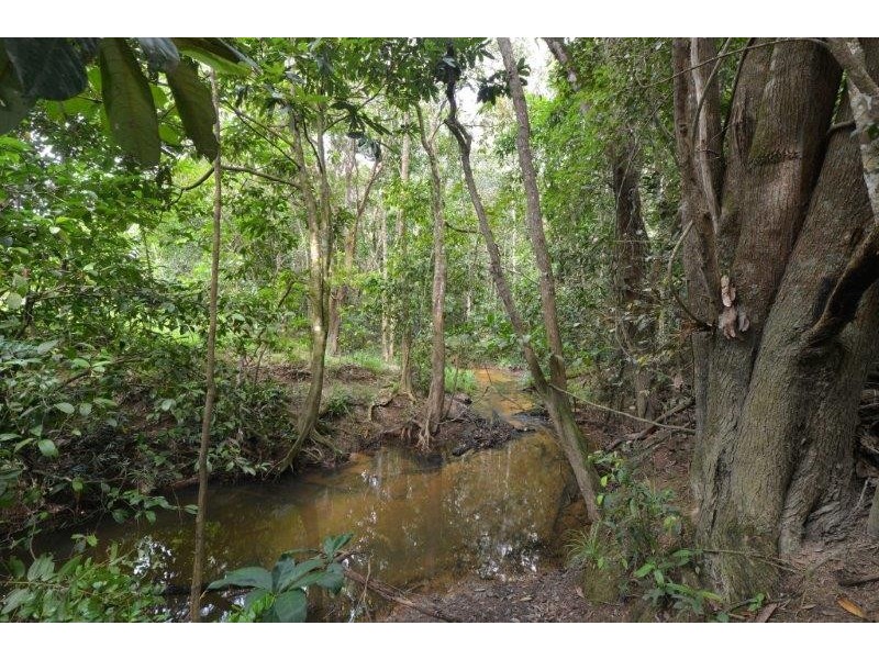 29 Mary Jane Drive, Julatten QLD 4871