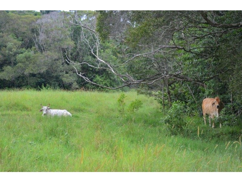 29 Mary Jane Drive, Julatten QLD 4871