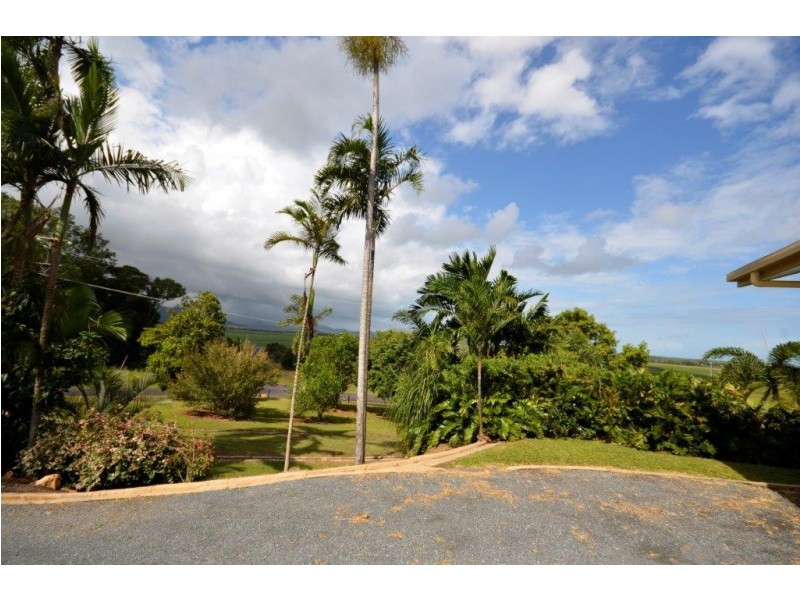 5 Dagmar Close, Lower Daintree QLD 4873