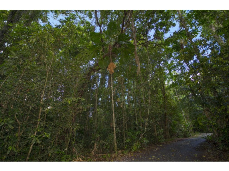 157 Cape Trib Road Diwan, Daintree QLD 4873