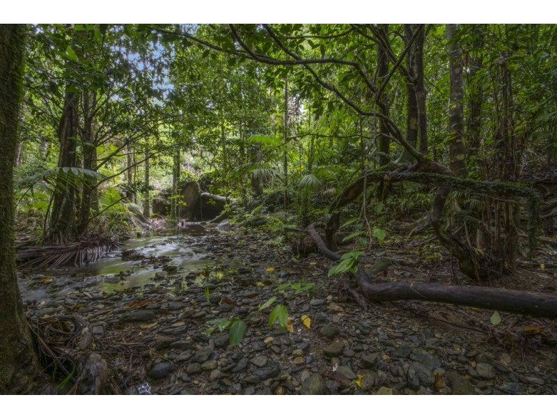 157 Cape Trib Road Diwan, Daintree QLD 4873