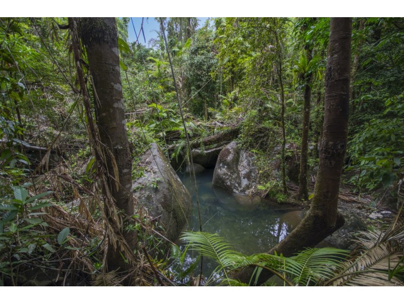 157 Cape Trib Road Diwan, Daintree QLD 4873