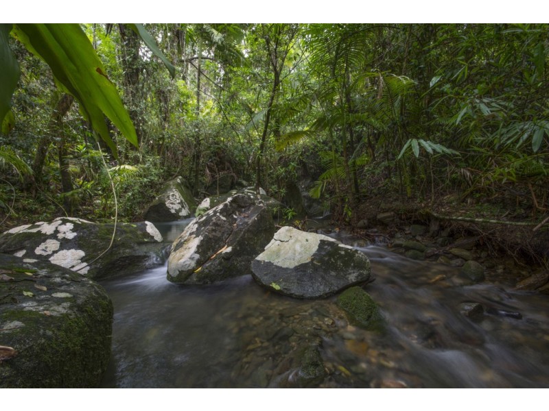 157 Cape Trib Road Diwan, Daintree QLD 4873