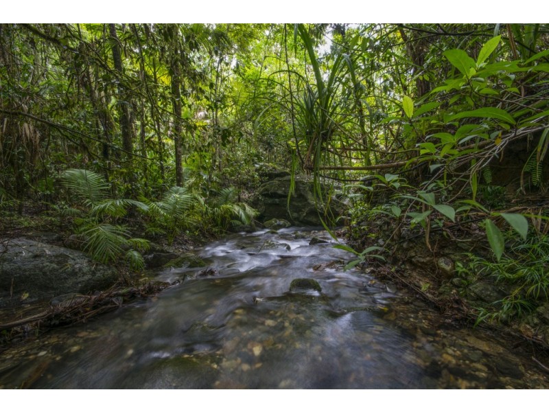157 Cape Trib Road Diwan, Daintree QLD 4873