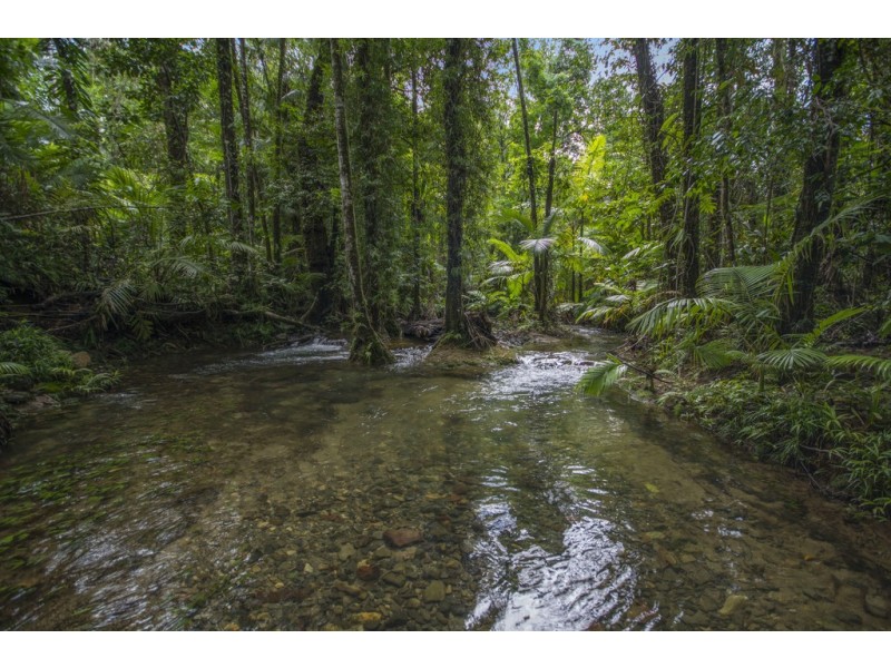 157 Cape Trib Road Diwan, Daintree QLD 4873