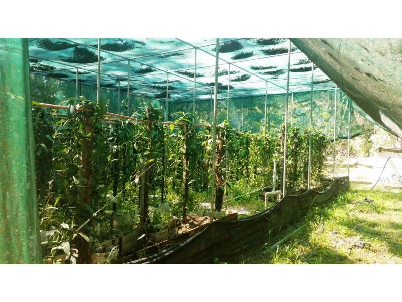 360 Pandanus Road Cow Bay, Daintree QLD 4873