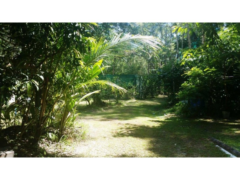 360 Pandanus Road Cow Bay, Daintree QLD 4873