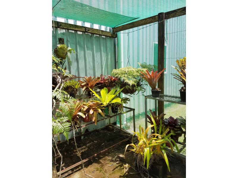 5 Power Street, Daintree QLD 4873