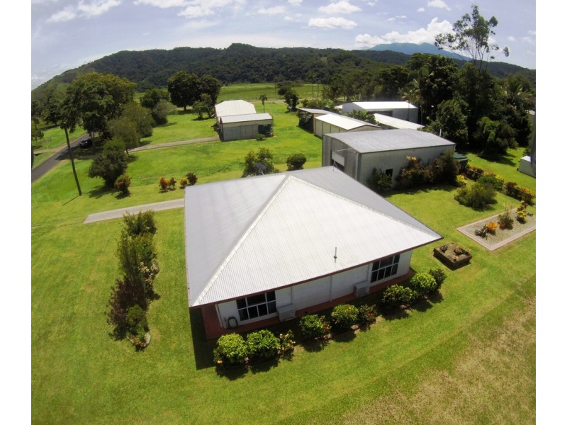 5 Power Street, Daintree QLD 4873