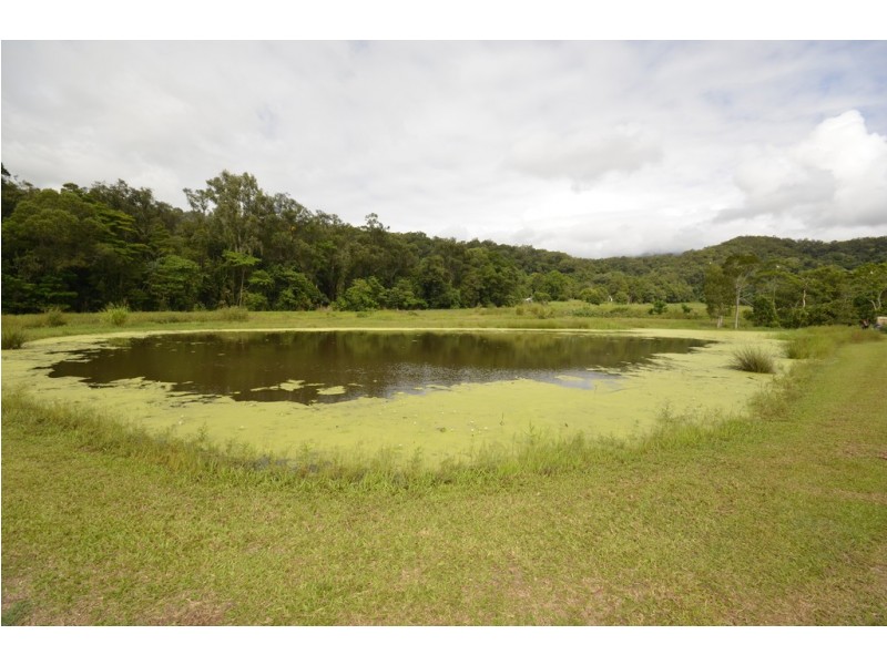 112 Mijo Road, Miallo QLD 4873