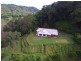 14 Elizabeth Close, Miallo QLD 4873