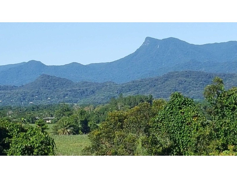 14 Elizabeth Close, Miallo QLD 4873