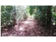 35 Silver Ash Road, Daintree QLD 4873