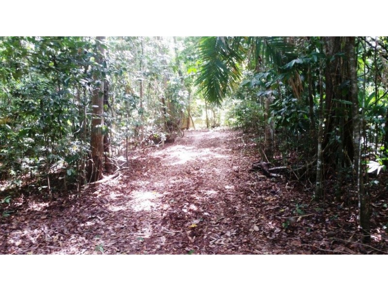 35 Silver Ash Road, Daintree QLD 4873