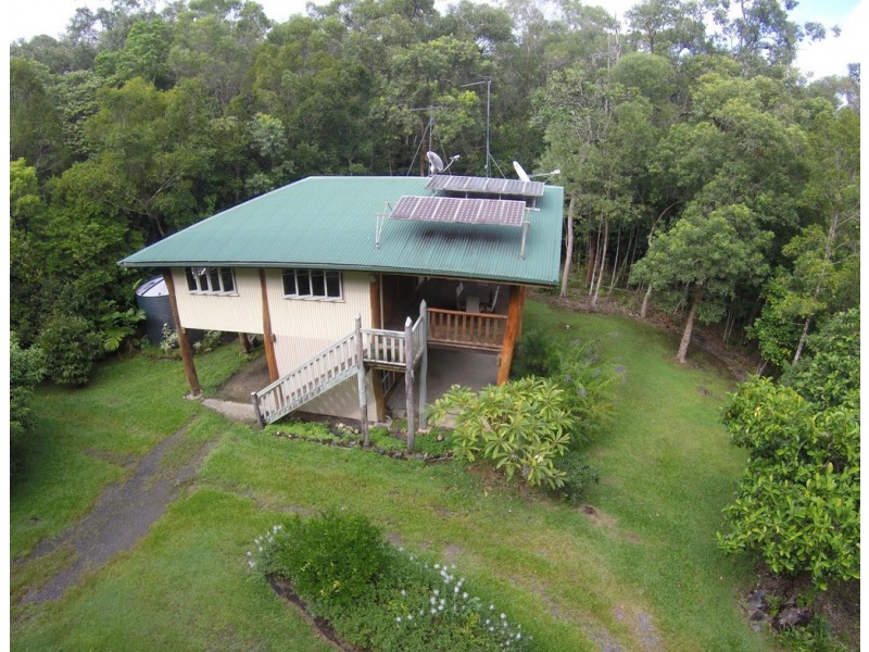 21 White Beech Road, Daintree QLD 4873