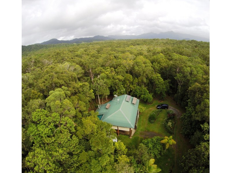 21 White Beech Road, Daintree QLD 4873