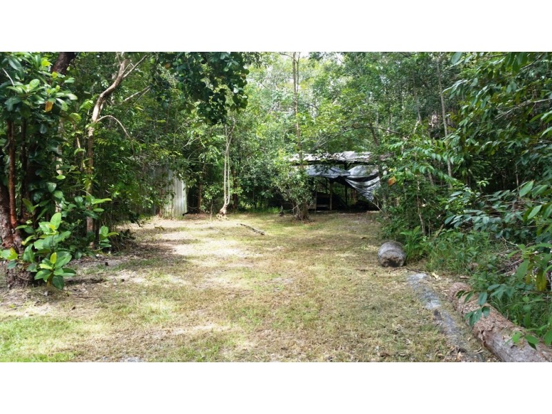 21 White Beech Road, Daintree QLD 4873