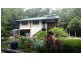 21 White Beech Road, Daintree QLD 4873