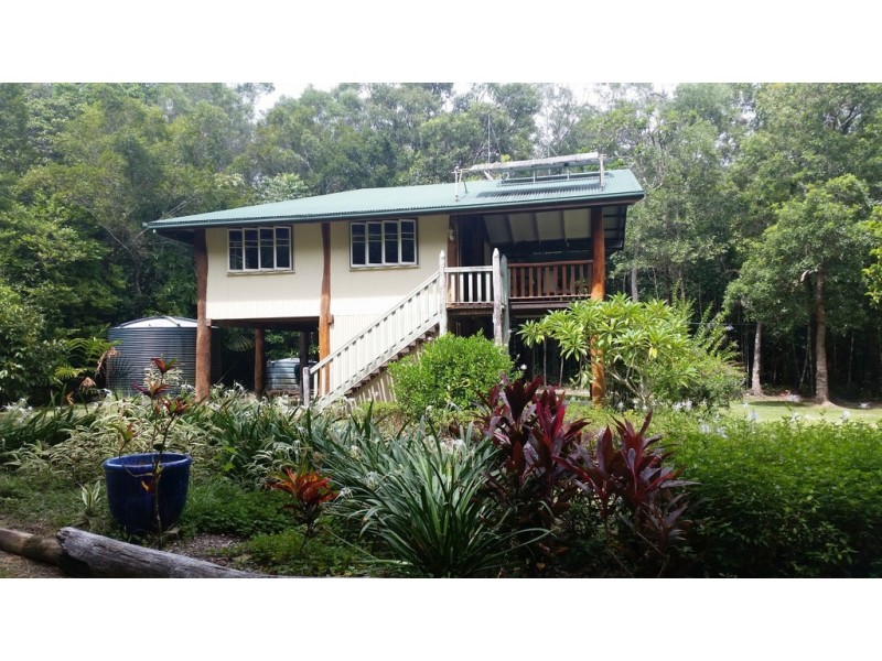 21 White Beech Road, Daintree QLD 4873
