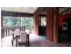 21 White Beech Road, Daintree QLD 4873