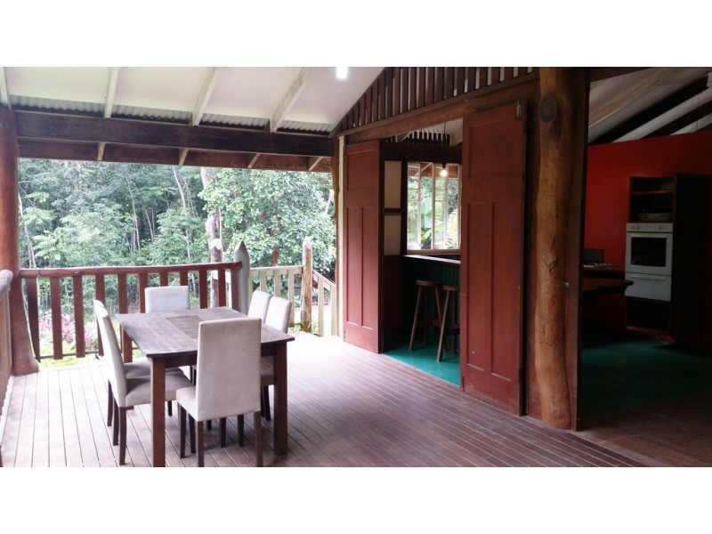 21 White Beech Road, Daintree QLD 4873