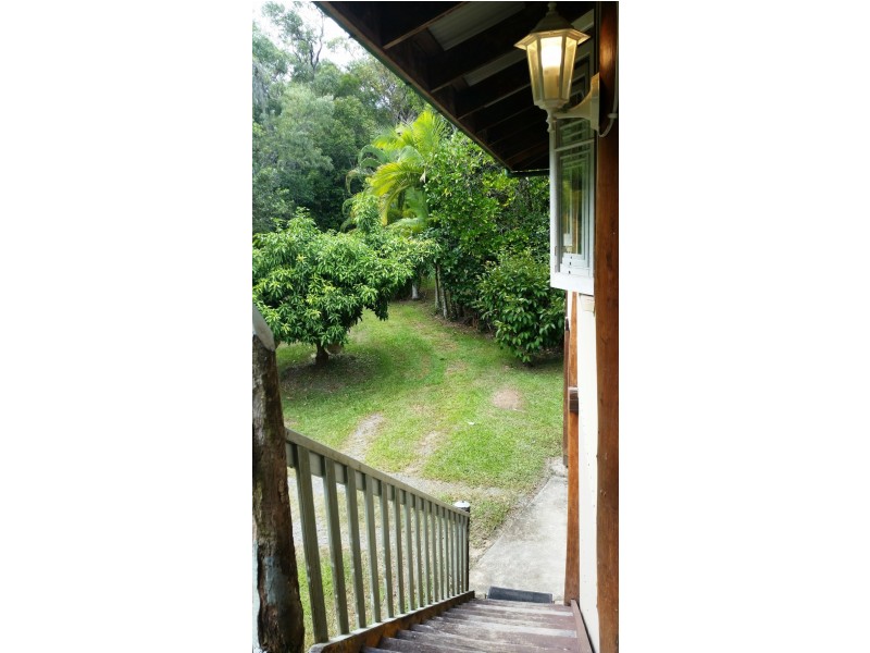 21 White Beech Road, Daintree QLD 4873