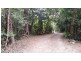 21 White Beech Road, Daintree QLD 4873