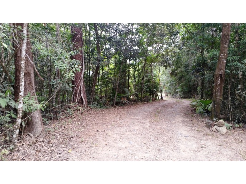 21 White Beech Road, Daintree QLD 4873