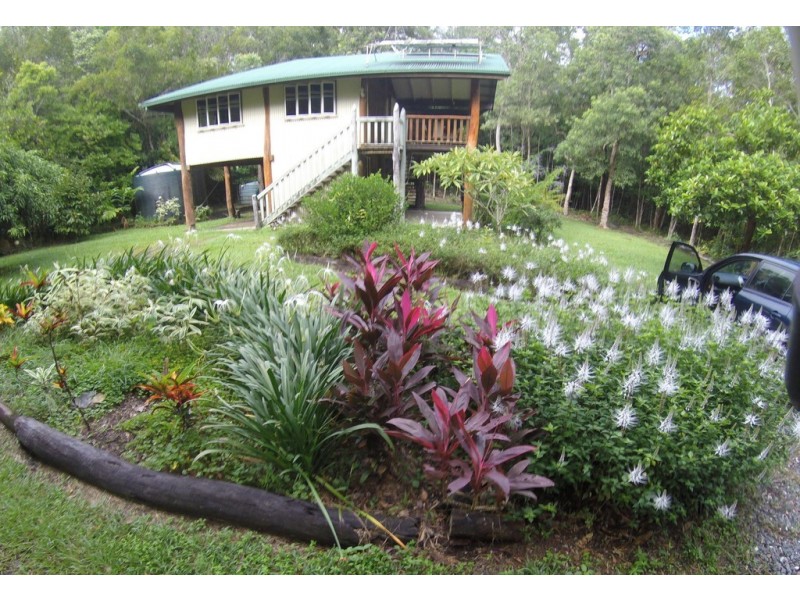 21 White Beech Road, Daintree QLD 4873