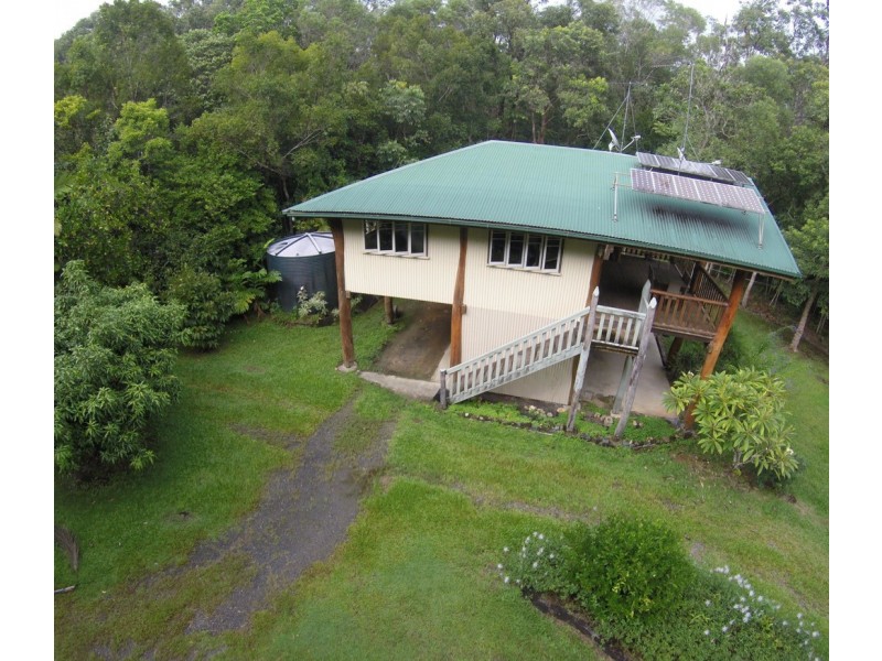 21 White Beech Road, Daintree QLD 4873