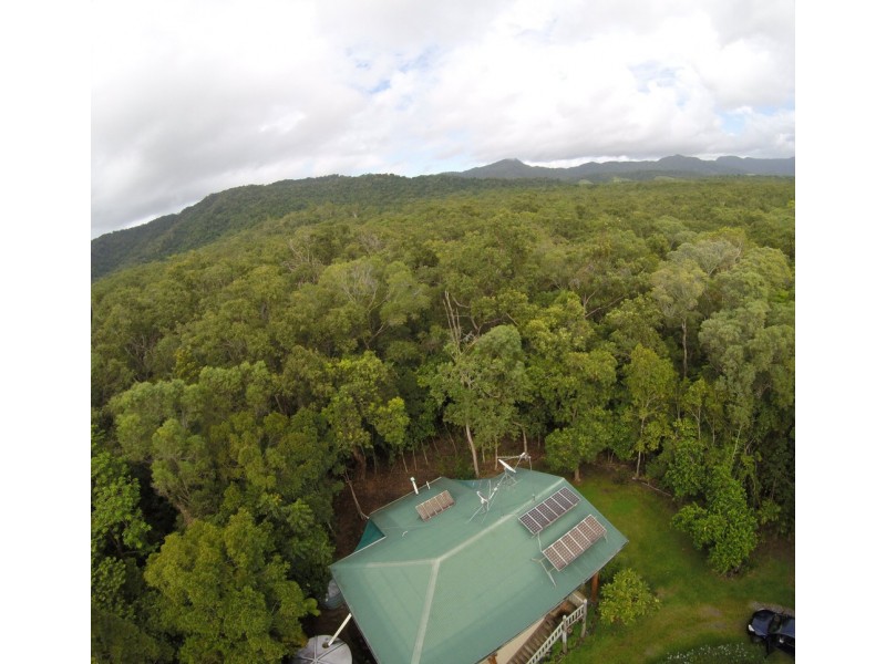 21 White Beech Road, Daintree QLD 4873