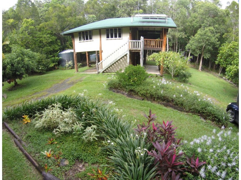 21 White Beech Road, Daintree QLD 4873
