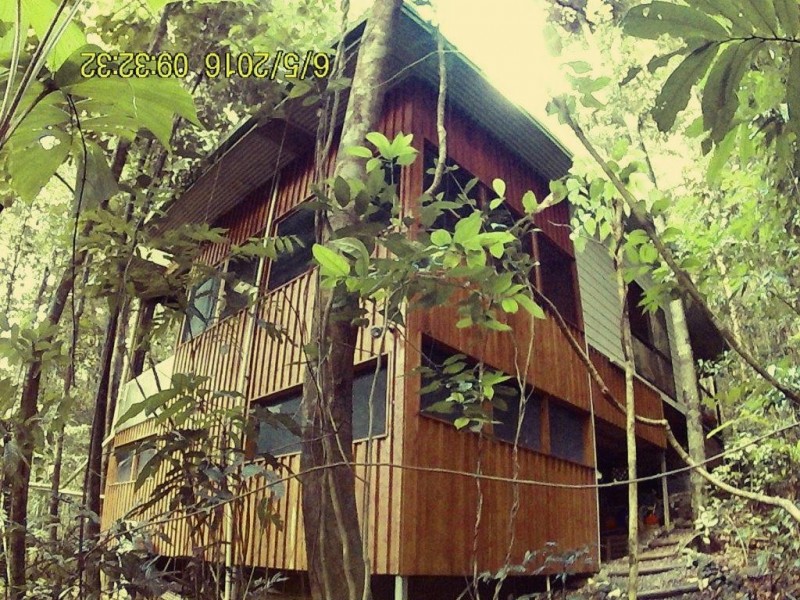 176 Carbeen Road, Daintree QLD 4873