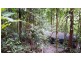 176 Carbeen Road, Daintree QLD 4873