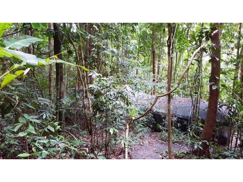 176 Carbeen Road, Daintree QLD 4873