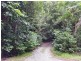 176 Carbeen Road, Daintree QLD 4873