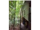 176 Carbeen Road, Daintree QLD 4873