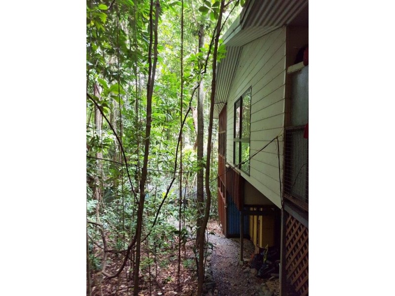 176 Carbeen Road, Daintree QLD 4873