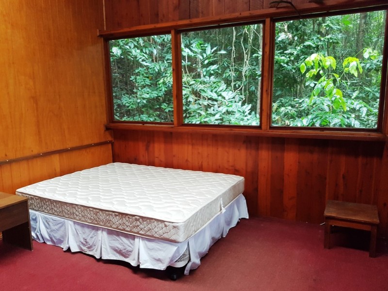 176 Carbeen Road, Daintree QLD 4873